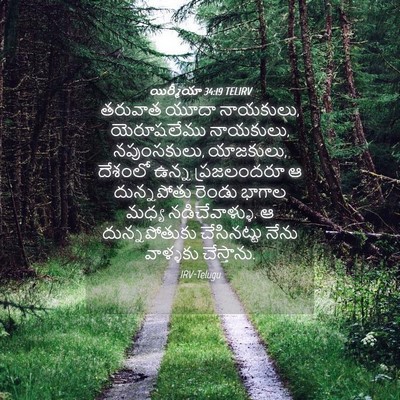 Picture 04 - యిర్మీయా 34:19 TELIRV - తరువాత యూదా - Bible Verse Picture