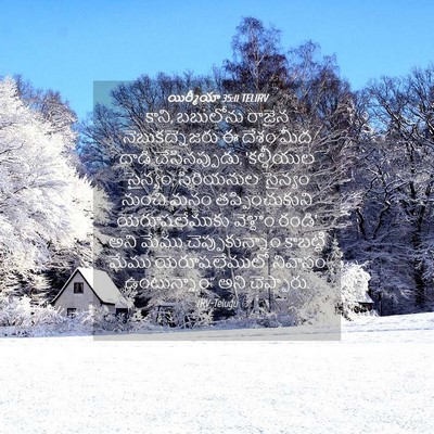 Picture 04 - యిర్మీయా 35:11 TELIRV - కాని, బబులోను - Bible Verse Picture