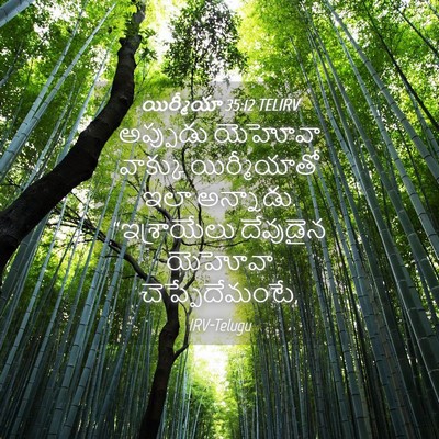 Picture 04 - యిర్మీయా 35:12 TELIRV - అప్పుడు యెహోవా - Bible Verse Picture