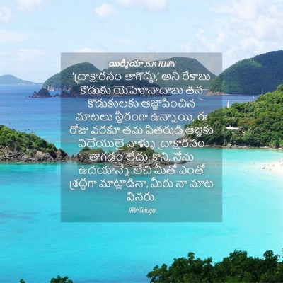 Picture 04 - యిర్మీయా 35:14 TELIRV - ‘ద్రాక్షారసం - Bible Verse Picture