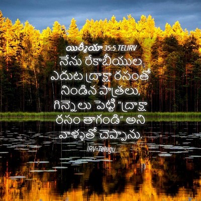 Picture 04 - యిర్మీయా 35:5 TELIRV - నేను రేకాబీయుల - Bible Verse Picture