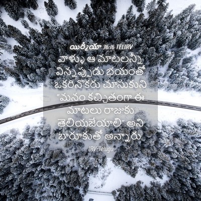 Picture 04 - యిర్మీయా 36:16 TELIRV - వాళ్ళు ఆ మాటలన్నీ - Bible Verse Picture