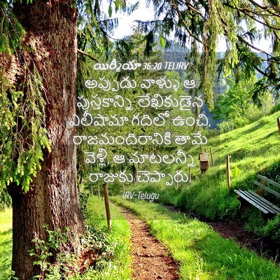 Picture 04 - యిర్మీయా 36:20 TELIRV - అప్పుడు వాళ్ళు ఆ - Bible Verse Picture