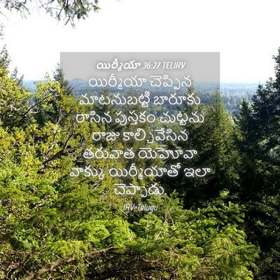 Picture 04 - యిర్మీయా 36:27 TELIRV - యిర్మీయా చెప్పిన - Bible Verse Picture