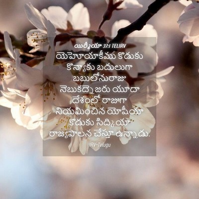 Picture 04 - యిర్మీయా 37:1 TELIRV - యెహోయాకీము కొడుకు - Bible Verse Picture