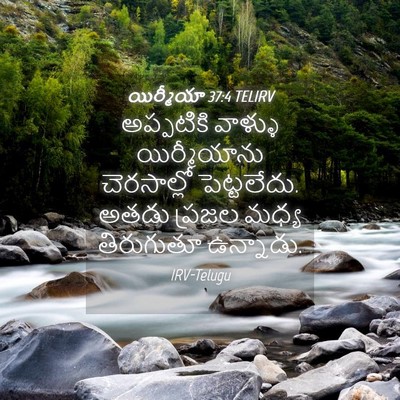 Picture 04 - యిర్మీయా 37:4 TELIRV - అప్పటికి వాళ్ళు - Bible Verse Picture