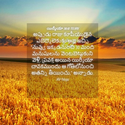 Picture 04 - యిర్మీయా 38:10 TELIRV - అప్పుడు రాజు - Bible Verse Picture