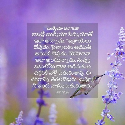 Picture 04 - యిర్మీయా 38:17 TELIRV - కాబట్టి యిర్మీయా - Bible Verse Picture