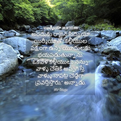 Picture 04 - యిర్మీయా 38:19 TELIRV - అందుకు రాజైన - Bible Verse Picture