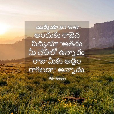 Picture 04 - యిర్మీయా 38:5 TELIRV - అందుకు రాజైన - Bible Verse Picture