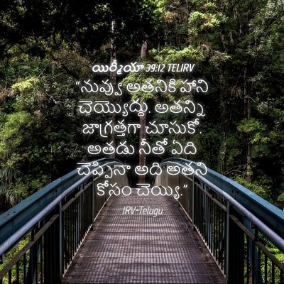 Picture 04 - యిర్మీయా 39:12 TELIRV - “నువ్వు అతనికి - Bible Verse Picture