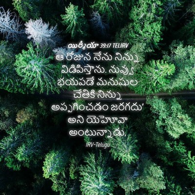 Picture 04 - యిర్మీయా 39:17 TELIRV - ఆ రోజున నేను - Bible Verse Picture