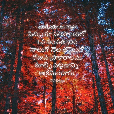 Picture 04 - యిర్మీయా 39:2 TELIRV - సిద్కియా - Bible Verse Picture