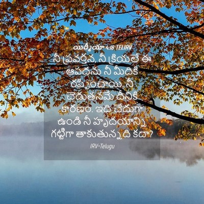 Picture 04 - యిర్మీయా 4:18 TELIRV - నీ ప్రవర్తన, నీ - Bible Verse Picture
