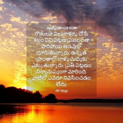 Picture 04 - యిర్మీయా 4:29 TELIRV - రౌతులూ విలుకాళ్ళూ - Bible Verse Picture