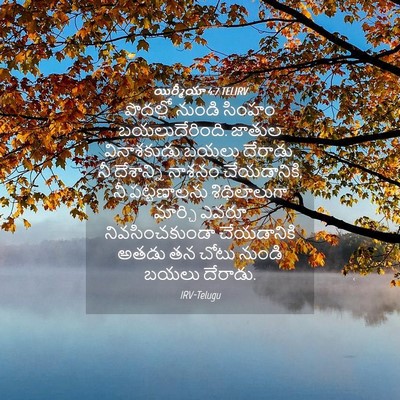Picture 04 - యిర్మీయా 4:7 TELIRV - పొదల్లో నుండి - Bible Verse Picture