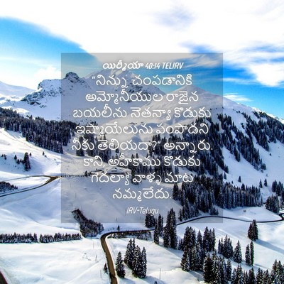 Picture 04 - యిర్మీయా 40:14 TELIRV - “నిన్ను చంపడానికి - Bible Verse Picture