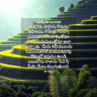Picture 04 - యిర్మీయా 40:9 TELIRV - అప్పుడు షాఫాను - Bible Verse Picture