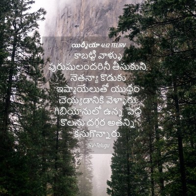 Picture 04 - యిర్మీయా 41:12 TELIRV - కాబట్టి వాళ్ళు - Bible Verse Picture