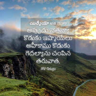 Picture 04 - యిర్మీయా 41:16 TELIRV - అప్పుడు నెతన్యా - Bible Verse Picture