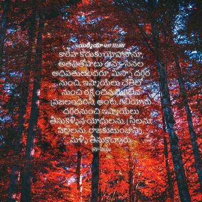 Picture 04 - యిర్మీయా 41:17 TELIRV - కారేహ కొడుకు - Bible Verse Picture