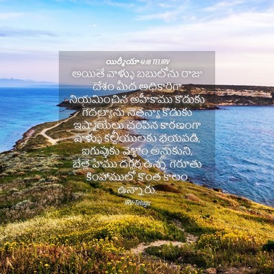 Picture 04 - యిర్మీయా 41:18 TELIRV - అయితే వాళ్ళు - Bible Verse Picture