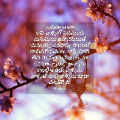 Picture 04 - యిర్మీయా 41:8 TELIRV - కాని, వాళ్ళల్లో - Bible Verse Picture