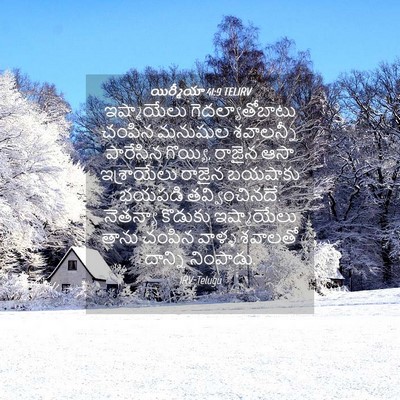 Picture 04 - యిర్మీయా 41:9 TELIRV - ఇష్మాయేలు - Bible Verse Picture