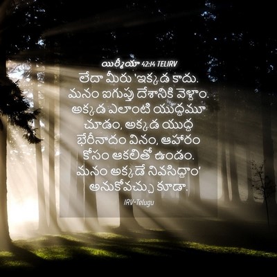 Picture 04 - యిర్మీయా 42:14 TELIRV - లేదా మీరు ‘ఇక్కడ - Bible Verse Picture