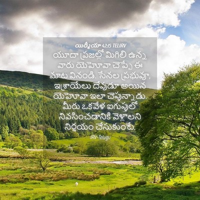Picture 04 - యిర్మీయా 42:15 TELIRV - యూదా ప్రజల్లో - Bible Verse Picture