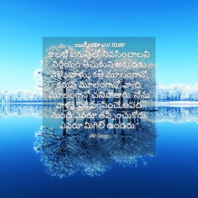 Picture 04 - యిర్మీయా 42:17 TELIRV - కాబట్టి ఐగుప్తులో - Bible Verse Picture