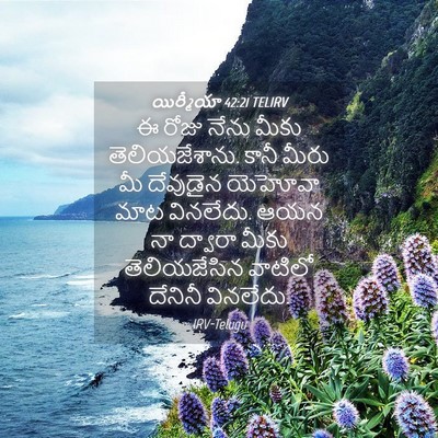 Picture 04 - యిర్మీయా 42:21 TELIRV - ఈ రోజు నేను మీకు - Bible Verse Picture
