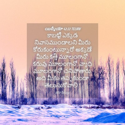 Picture 04 - యిర్మీయా 42:22 TELIRV - కాబట్టి ఎక్కడ - Bible Verse Picture