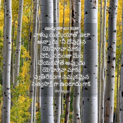 Picture 04 - యిర్మీయా 42:5 TELIRV - వాళ్ళు యిర్మీయాతో - Bible Verse Picture