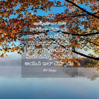 Picture 04 - యిర్మీయా 42:9 TELIRV - వారికిలా - Bible Verse Picture