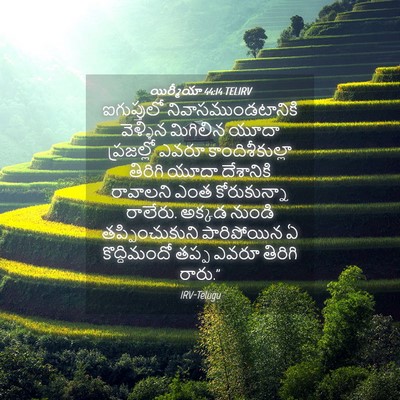 Picture 04 - యిర్మీయా 44:14 TELIRV - ఐగుప్తులో - Bible Verse Picture