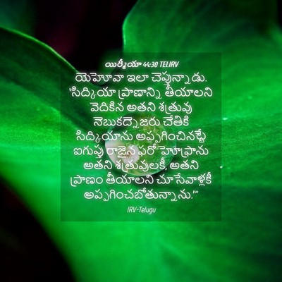 Picture 04 - యిర్మీయా 44:30 TELIRV - యెహోవా ఇలా - Bible Verse Picture