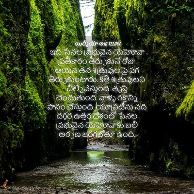 Picture 04 - యిర్మీయా 46:10 TELIRV - ఇది సేనల ప్రభువైన - Bible Verse Picture