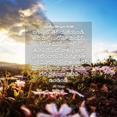 Picture 04 - యిర్మీయా 46:14 TELIRV - ఐగుప్తులో - Bible Verse Picture