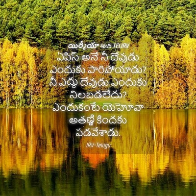 Picture 04 - యిర్మీయా 46:15 TELIRV - ఏపిస్ అనే నీ - Bible Verse Picture