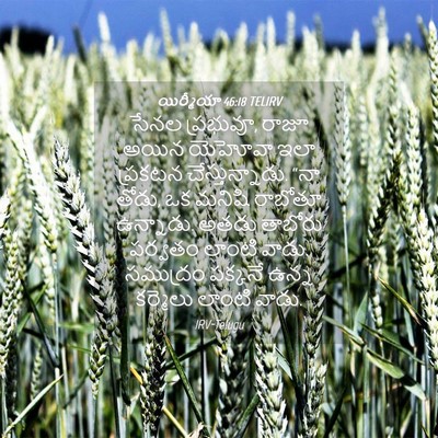 Picture 04 - యిర్మీయా 46:18 TELIRV - సేనల ప్రభువూ, రాజూ - Bible Verse Picture