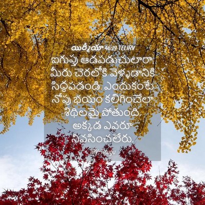 Picture 04 - యిర్మీయా 46:19 TELIRV - ఐగుప్తు - Bible Verse Picture