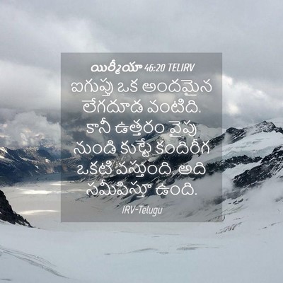 Picture 04 - యిర్మీయా 46:20 TELIRV - ఐగుప్తు ఒక అందమైన - Bible Verse Picture