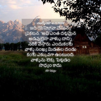 Picture 04 - యిర్మీయా 46:23 TELIRV - ఇది యెహోవా - Bible Verse Picture