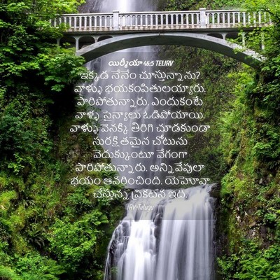 Picture 04 - యిర్మీయా 46:5 TELIRV - ఇక్కడ నేనేం - Bible Verse Picture