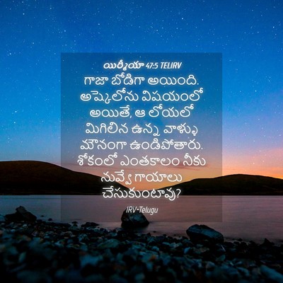 Picture 04 - యిర్మీయా 47:5 TELIRV - గాజా బోడిగా - Bible Verse Picture