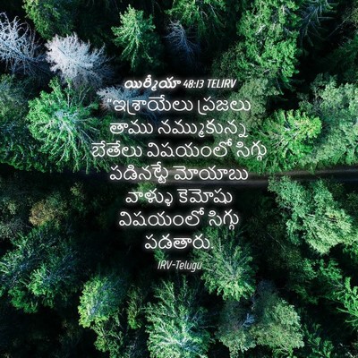 Picture 04 - యిర్మీయా 48:13 TELIRV - “ఇశ్రాయేలు ప్రజలు - Bible Verse Picture
