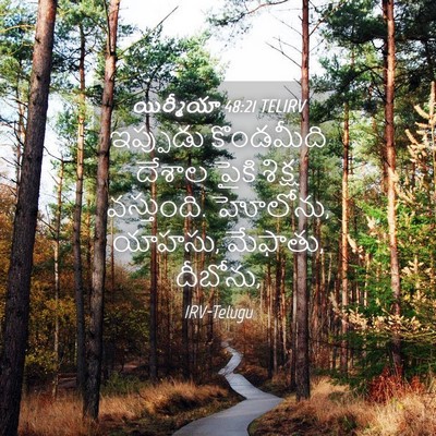 Picture 04 - యిర్మీయా 48:21 TELIRV - ఇప్పుడు కొండమీది - Bible Verse Picture