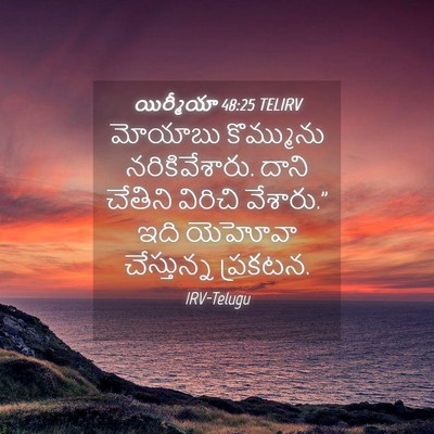 Picture 04 - యిర్మీయా 48:25 TELIRV - మోయాబు కొమ్మును - Bible Verse Picture
