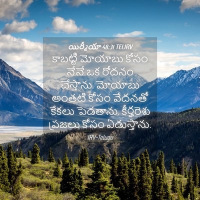Picture 04 - యిర్మీయా 48:31 TELIRV - కాబట్టి మోయాబు - Bible Verse Picture